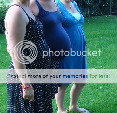 DSC04023-1.jpg picture by familiemarriet