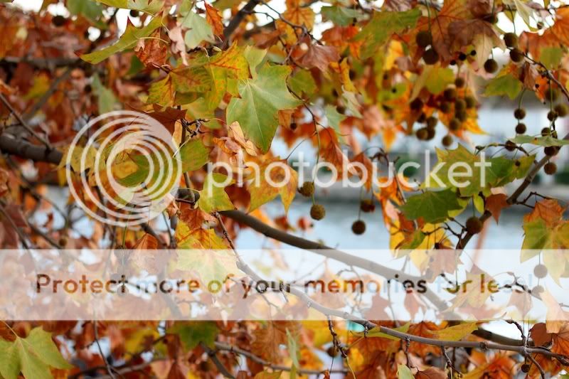 Осенний Париж... Photobucket