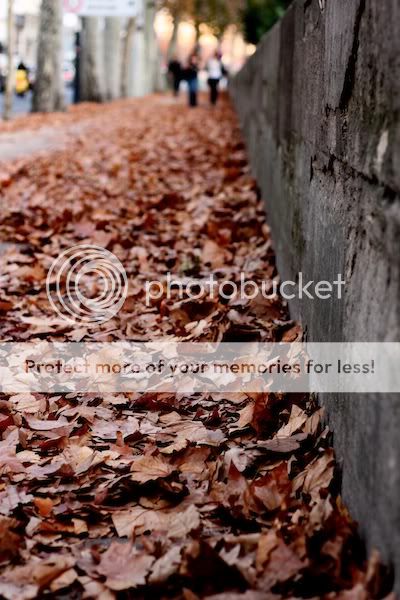 Осенний Париж... Photobucket