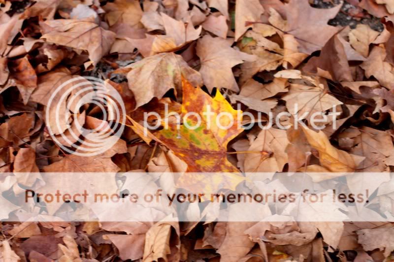 Осенний Париж... Photobucket