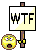 wtf.gif