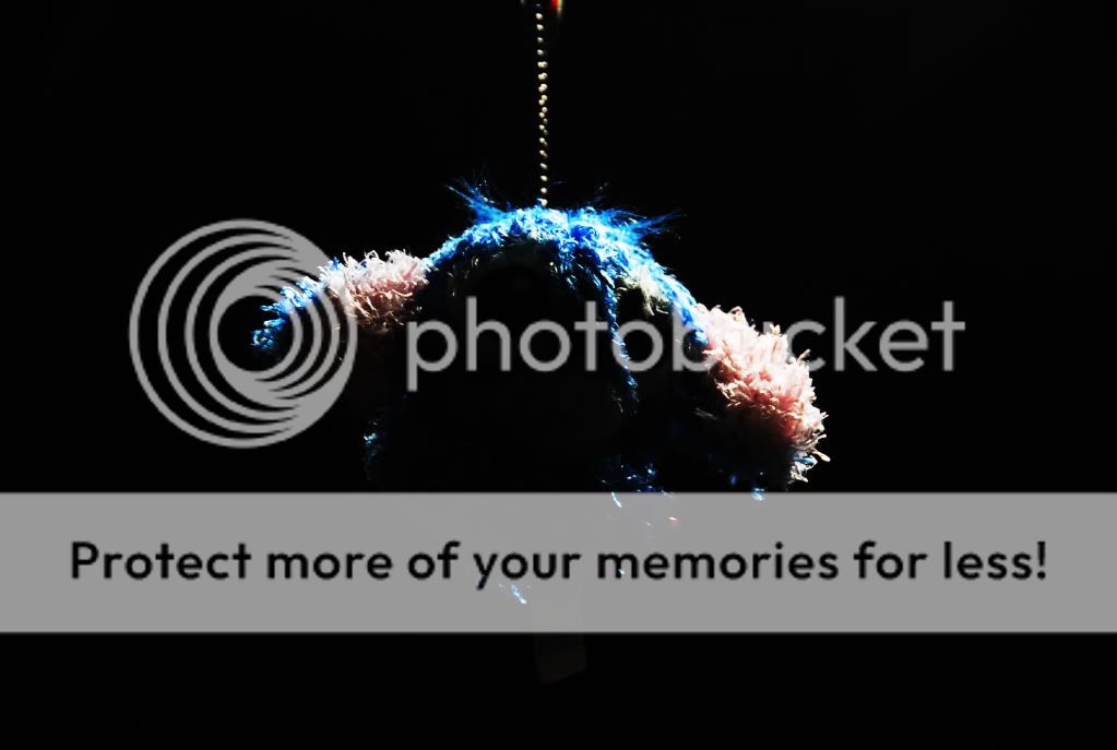 Photobucket