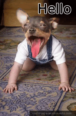 10.gif
