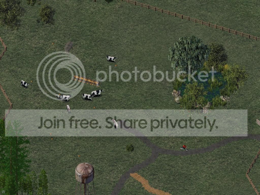 5_zpsc65b10df.jpg