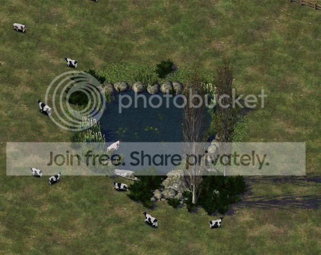 SC43_zps87592ffb.jpg